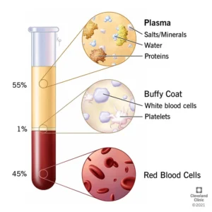 Blood plasma