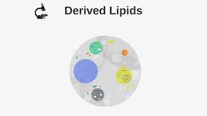 Derived lipids