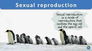 Sexual reproduction: